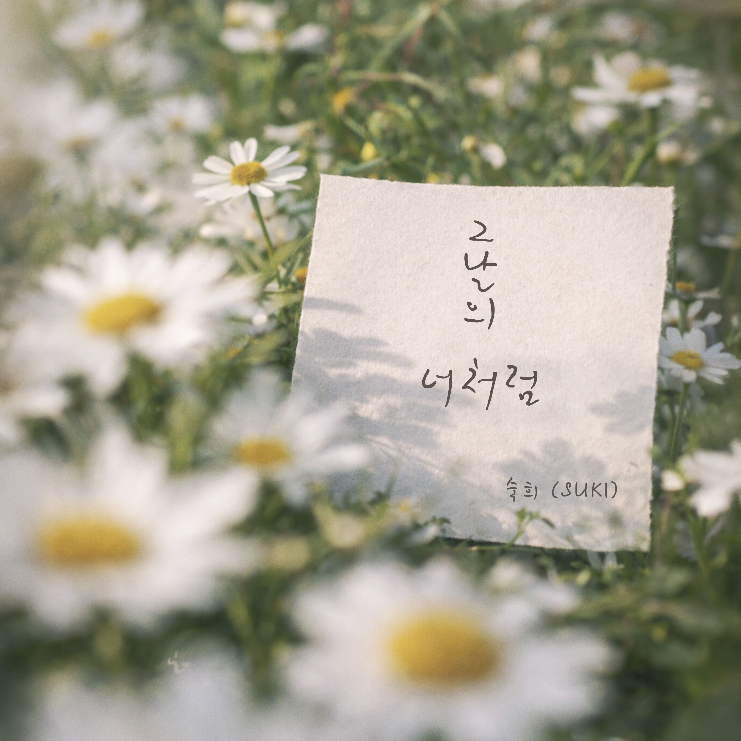 Image Cover